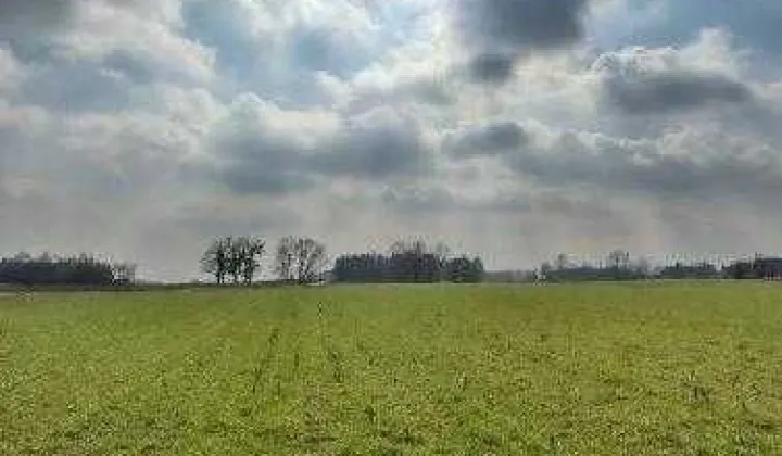 Działka budowlana Rumunki Głodowskie