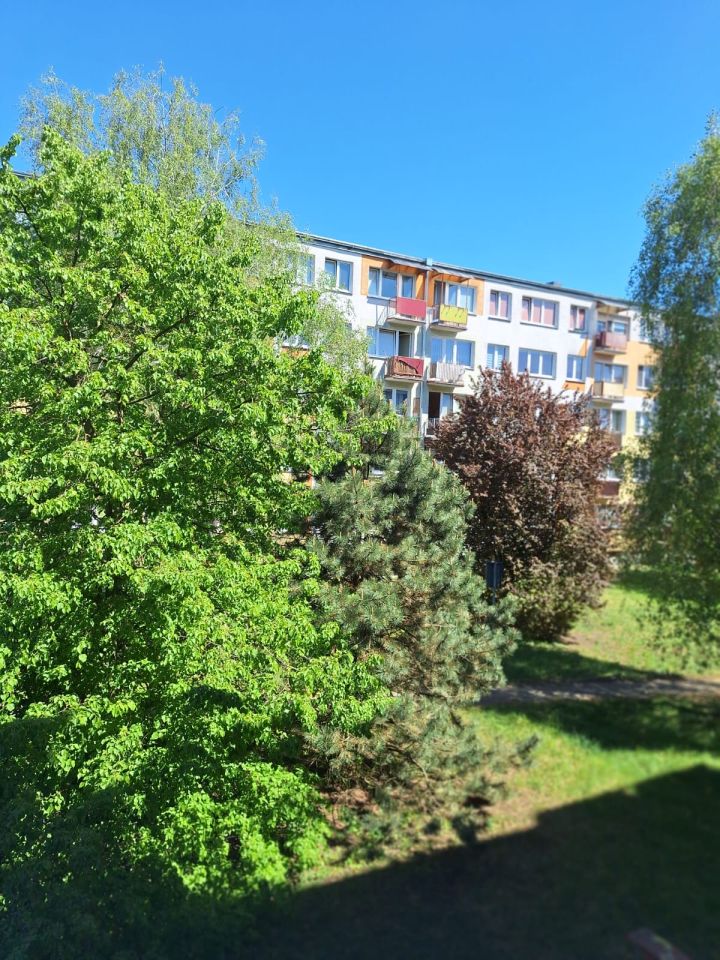 Mieszkanie 4-pokojowe Toruń Mokre, ul. Świętopełka. Zdjęcie 16
