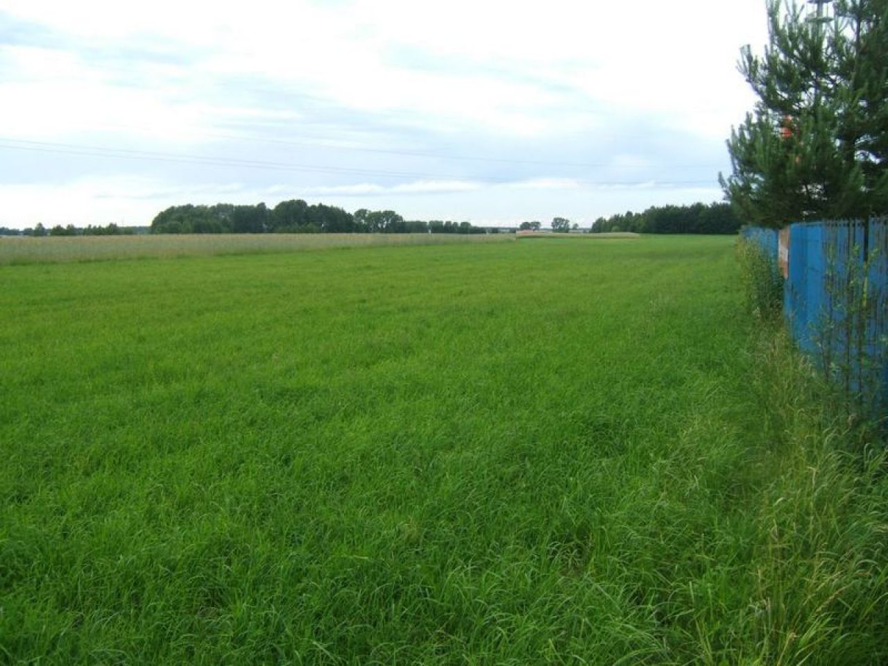 Działka inwestycyjna Maków Mazowiecki. Zdjęcie 7