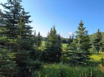 Działka budowlana Kamionki. Zdjęcie 2