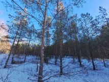 Działka leśna Połoń. Zdjęcie 2