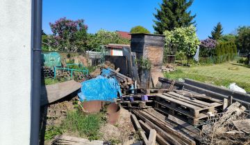 Działka rod Szczecin Niebuszewo, ul. Policka