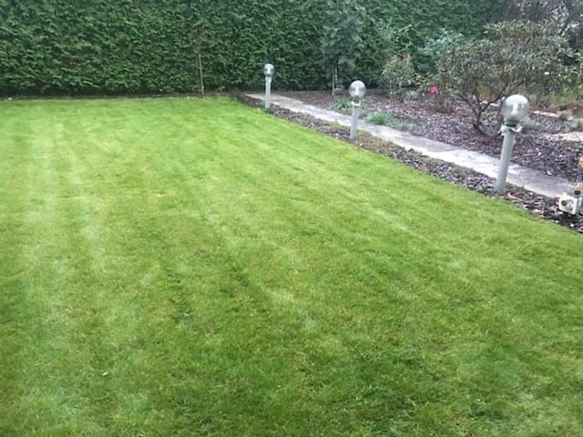 Działka rod Jagodowo osada leśna. Zdjęcie 1