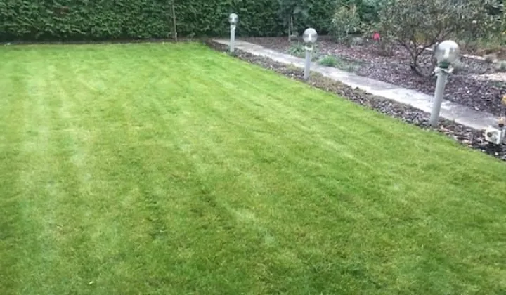 Działka rod Jagodowo osada leśna