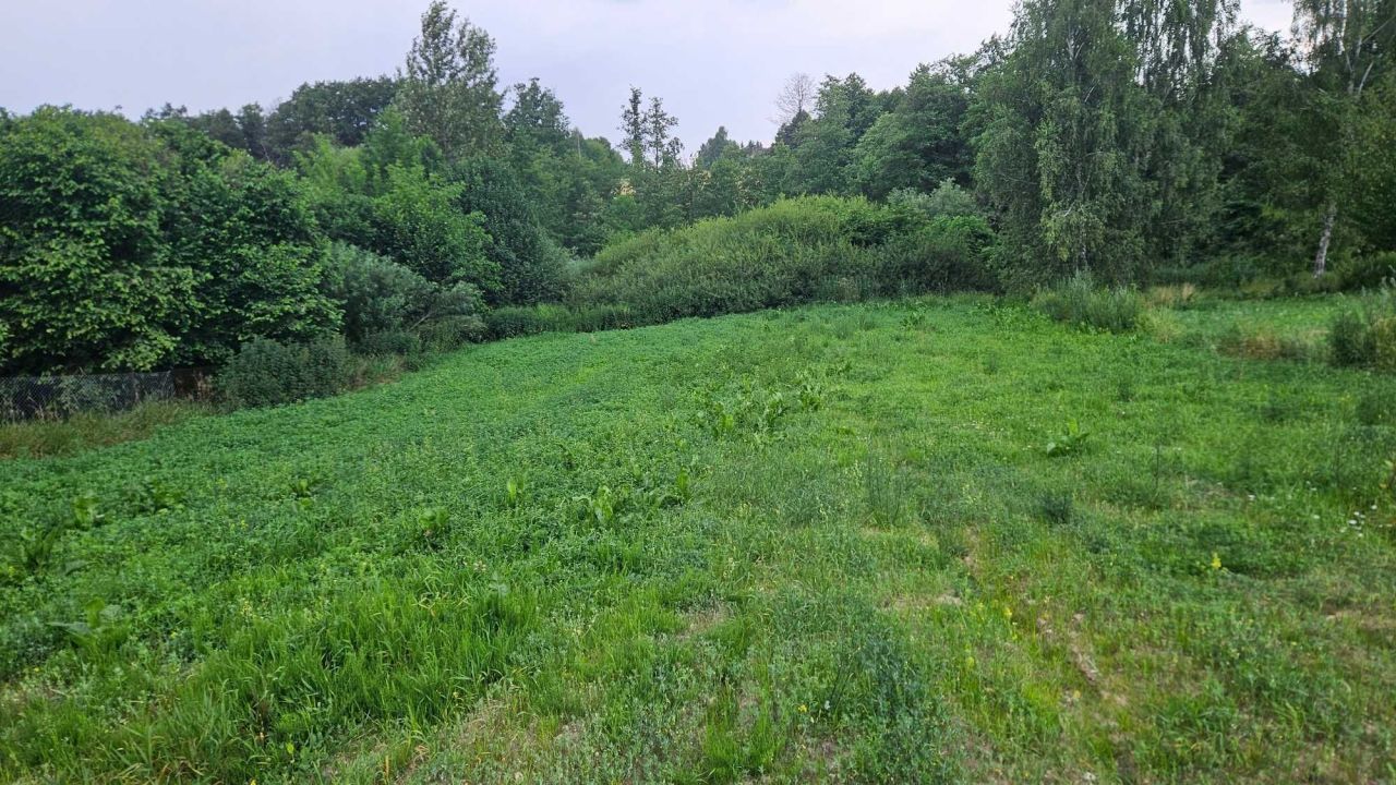 Działka rolna Jakubowice Konińskie, ul. Starowiejska. Zdjęcie 8