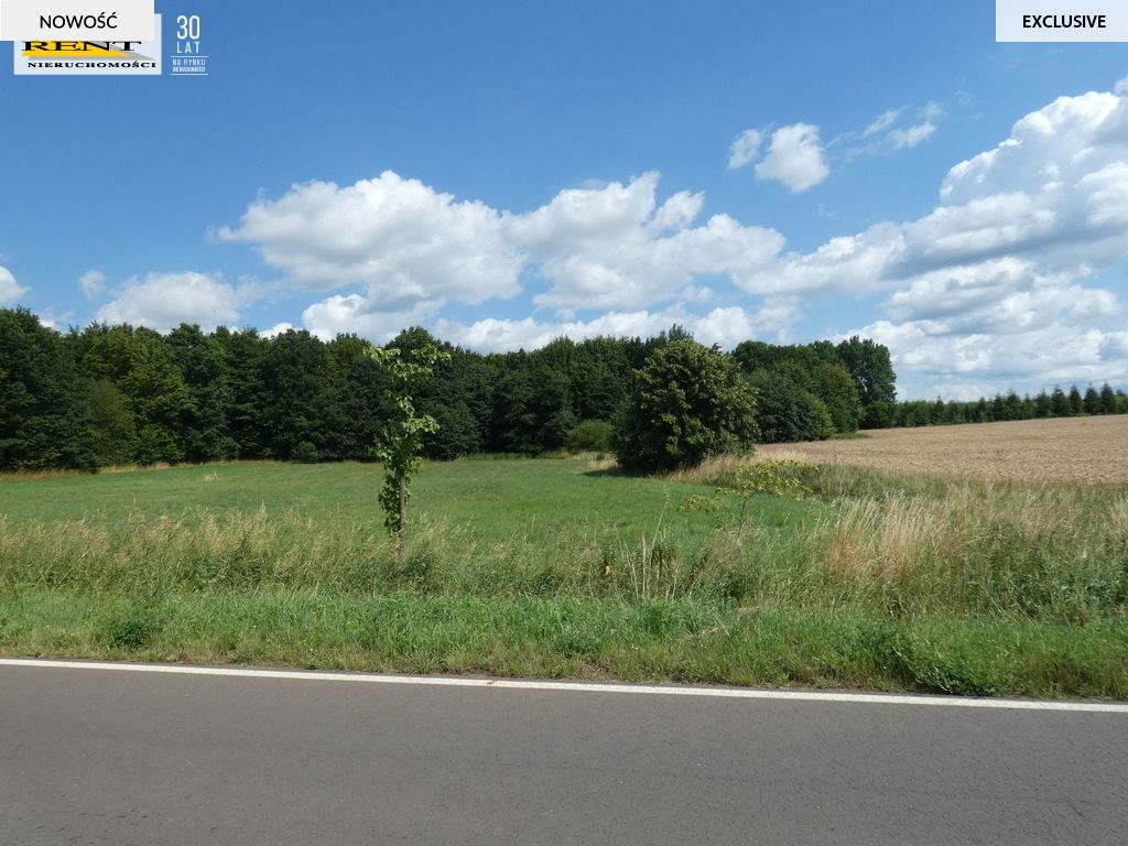 Działka budowlana Dębice. Zdjęcie 6