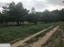 Działka budowlana Nowe Biskupice. Zdjęcie 1