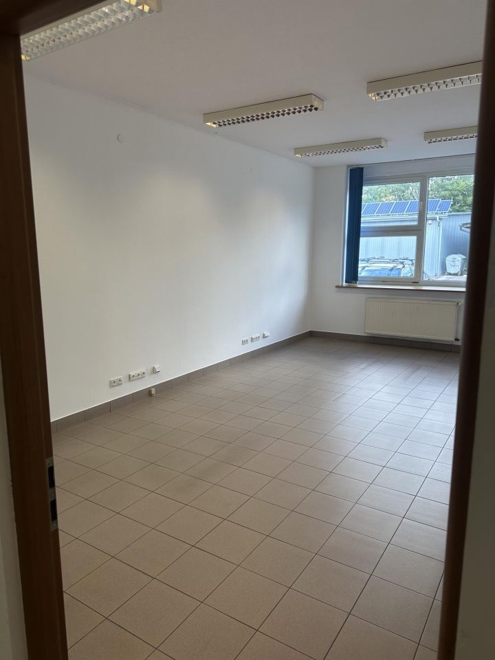 Hala/magazyn Łódź Widzew, ul. Lodowa. Zdjęcie 12