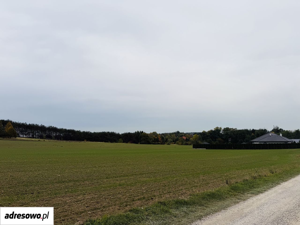 Działka budowlana Nowe Skoszewy. Zdjęcie 5