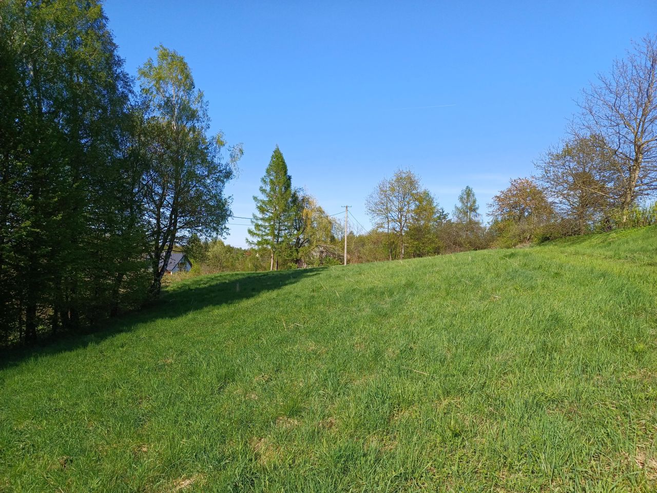 Działka rolno-budowlana Jaroszówka. Zdjęcie 3