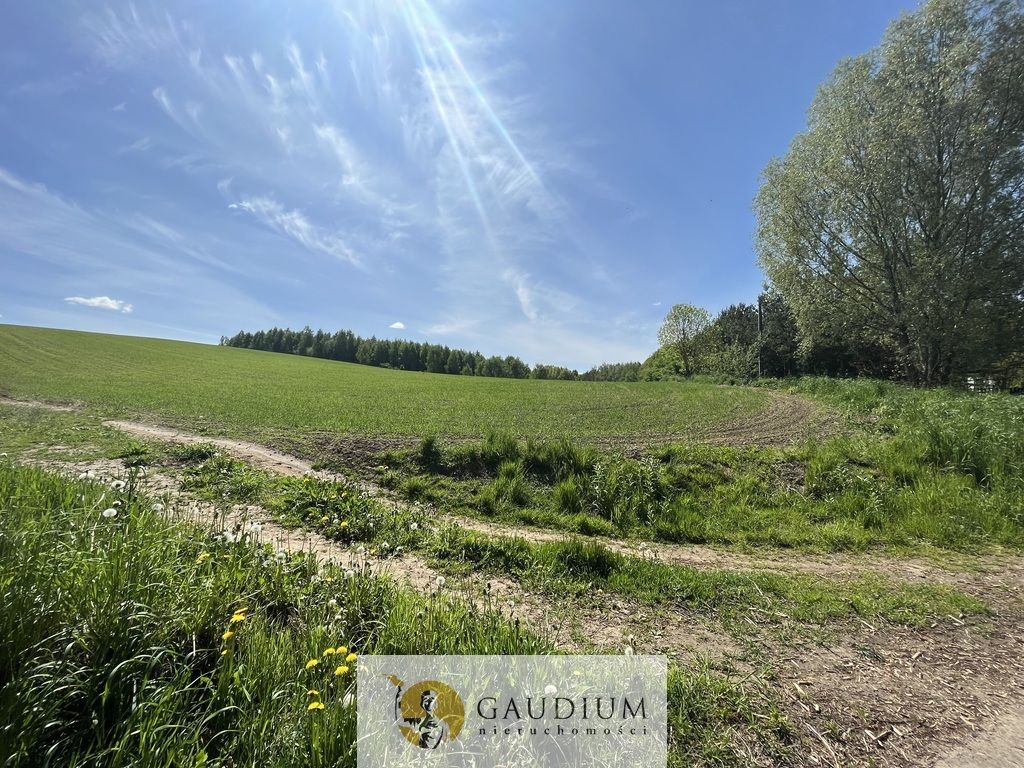 Działka Zła Wieś. Zdjęcie 4
