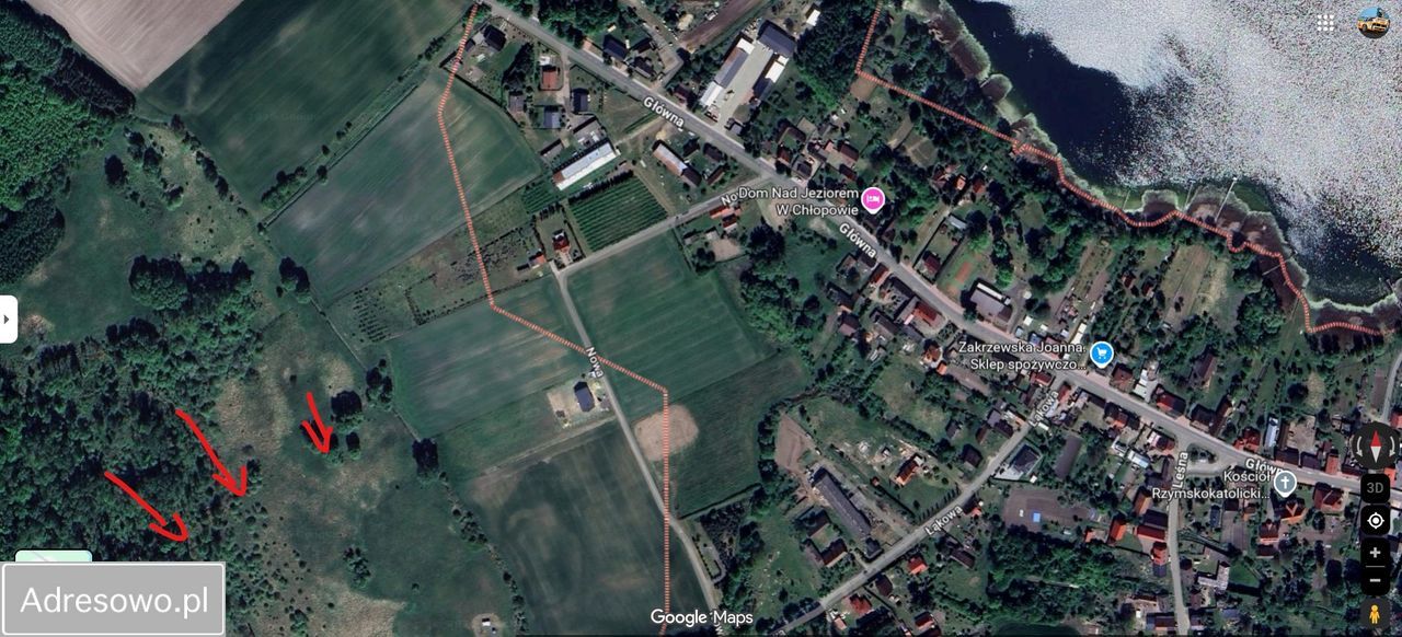 Działka rolna Chłopowo. Zdjęcie 7