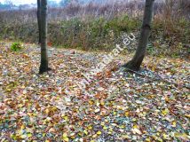 Działka inwestycyjna Otrębusy. Zdjęcie 4