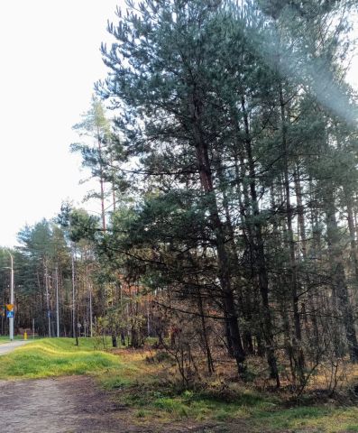 Działka rod Białystok Bagnówka, ul. Krzysztofa Pendereckiego. Zdjęcie 14