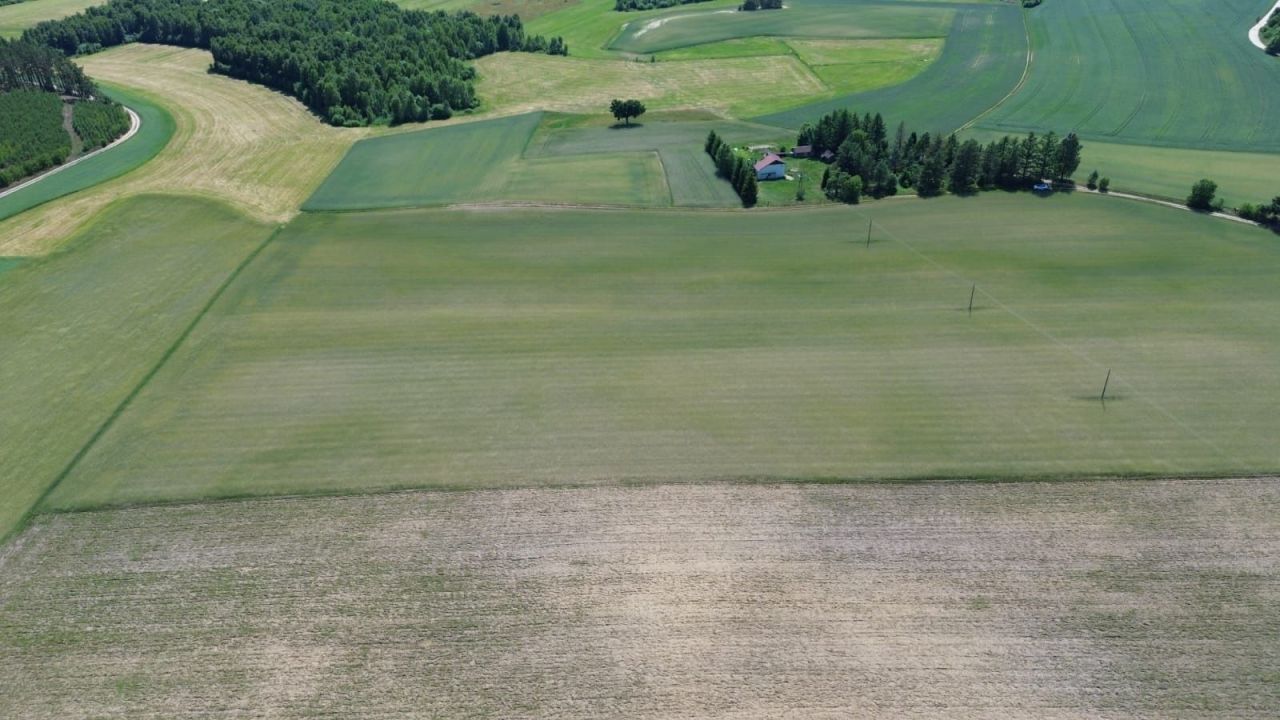 Działka rolna Skwierawy. Zdjęcie 4