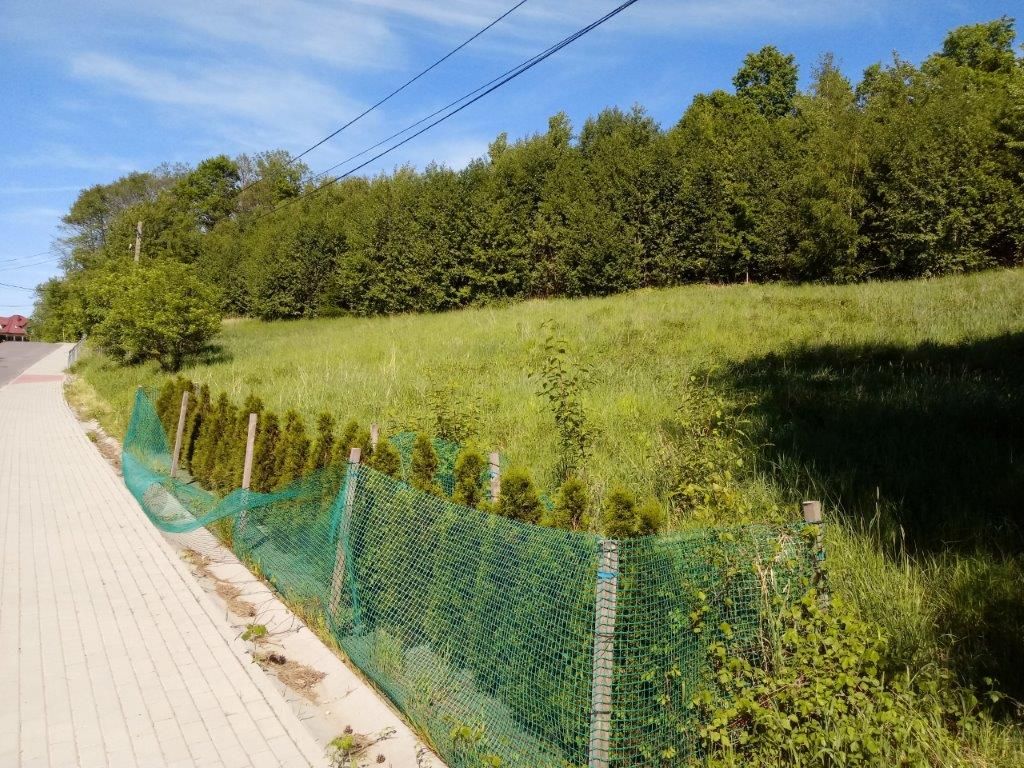 Działka budowlana Janowice. Zdjęcie 14