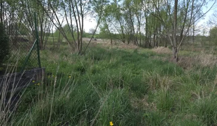 Działka rolno-budowlana Klembów