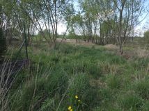 Działka rolno-budowlana Klembów, ul. gen. Franciszka Żymirskiego