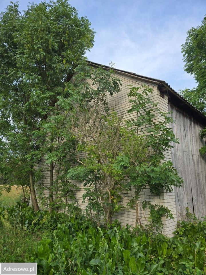 Działka rolna Wola Brudnowska. Zdjęcie 2