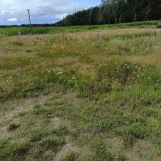 Działka budowlana Złotowo Pod Strugę, ul. Księżycowa. Zdjęcie 4