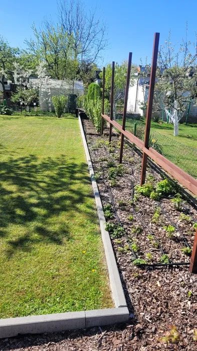 Działka rod Polkowice. Zdjęcie 3