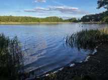 Działka rekreacyjna Wiatrowo, os. Nałęczyn. Zdjęcie 1