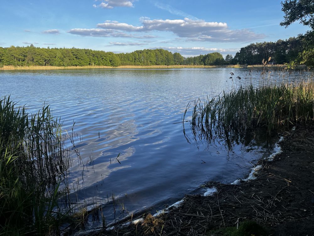 Działka rekreacyjna Wiatrowo, os. Nałęczyn. Zdjęcie 2