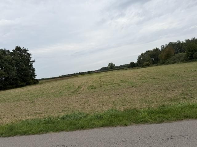 Działka rolna Wola Kukalska. Zdjęcie 7