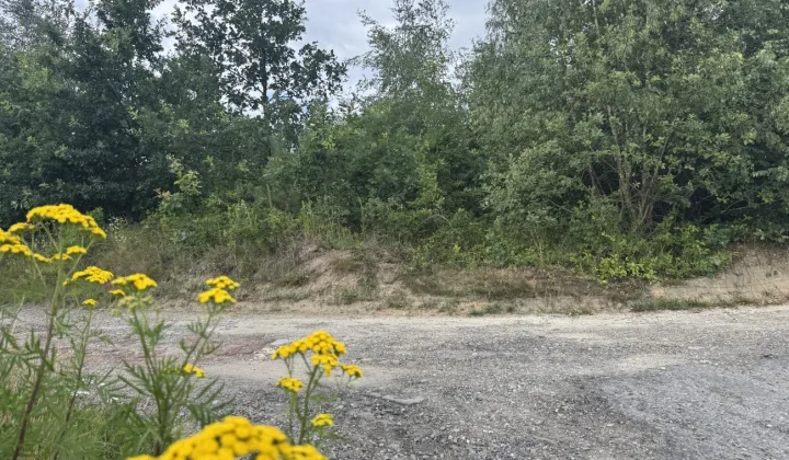 Działka budowlana Rudnik