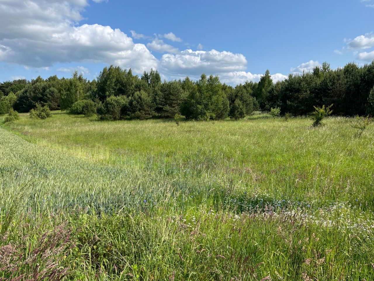 Działka budowlana Graniczna Wieś Pruska Karczma, ul. Jarzębinowa. Zdjęcie 7