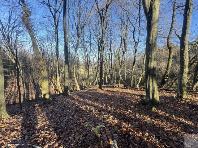 Działka leśna Przemyśl Kruhel Wielki, ul. Łowiecka. Zdjęcie 6