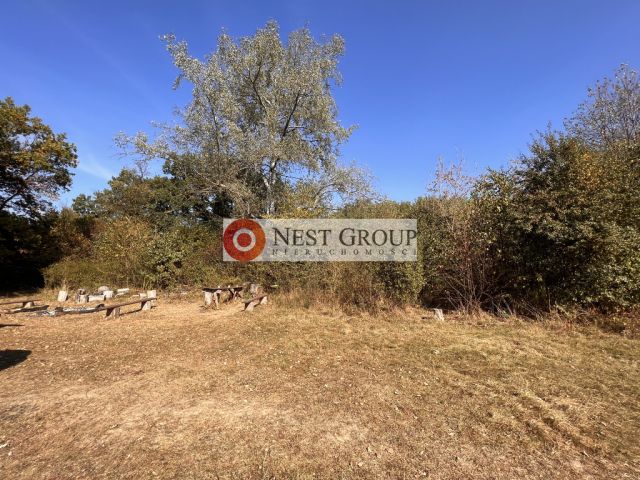 Działka inwestycyjna Skierdy, ul. Lipowa. Zdjęcie 9