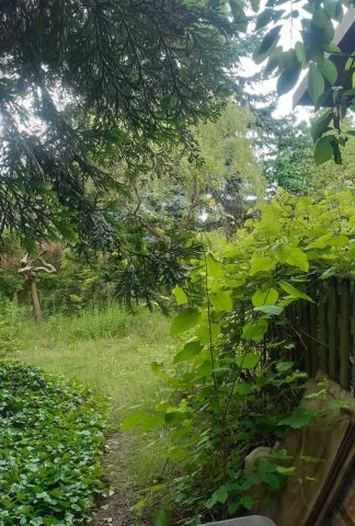 Działka rekreacyjna Poznań Grunwald, ul. Bukowska. Zdjęcie 1