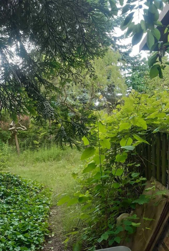 Działka rekreacyjna Poznań Grunwald, ul. Bukowska