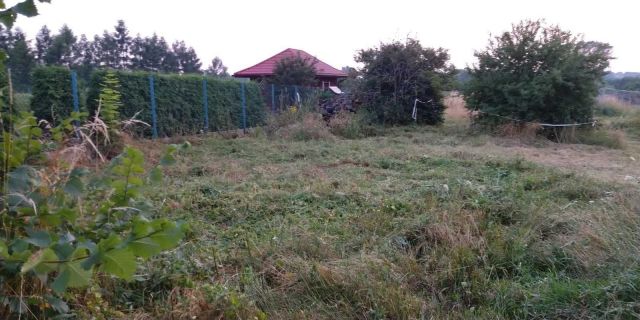 Działka rolno-budowlana Przedbórz, ul. Krakowska. Zdjęcie 1