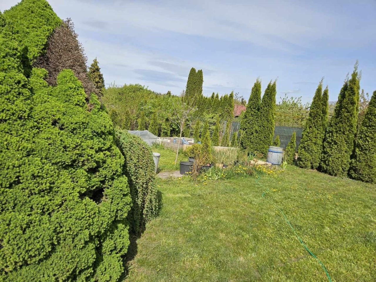 Działka rod Klebark Mały. Zdjęcie 6