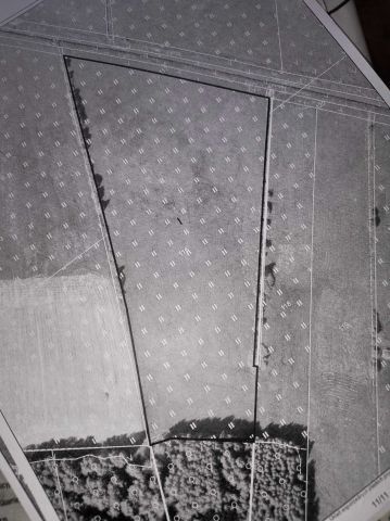 Działka rolna Turno. Zdjęcie 1