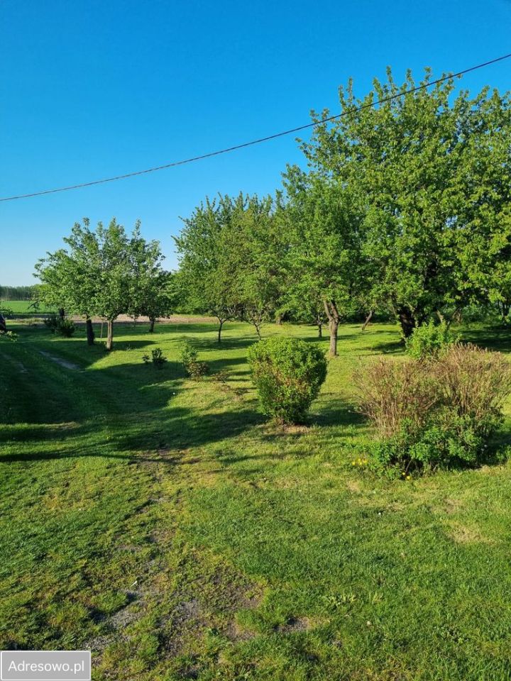 Działka siedliskowa Stefanów. Zdjęcie 12
