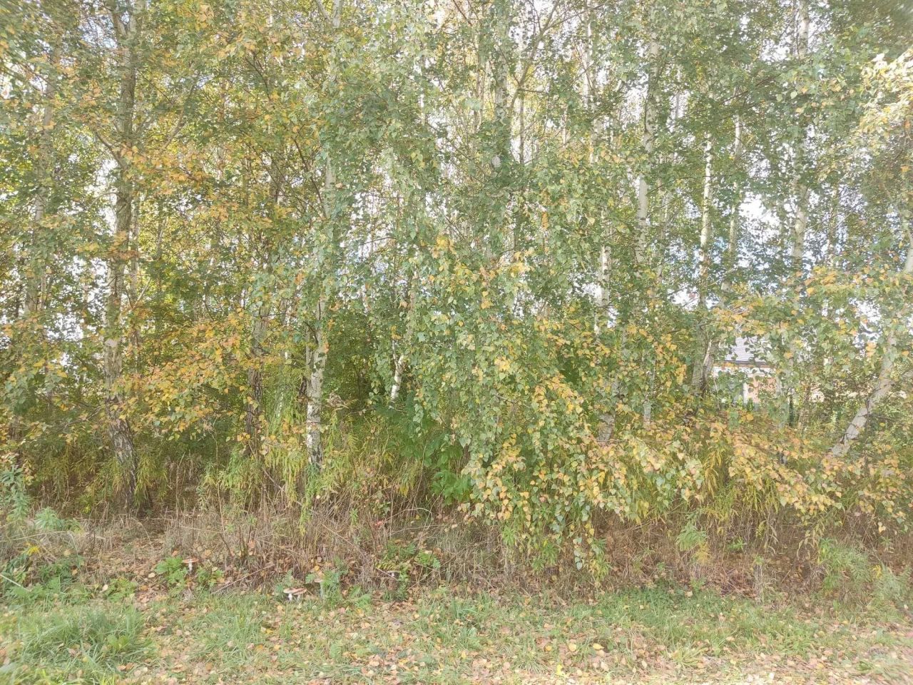 Działka budowlana Rąbień, ul. Ogórkowa. Zdjęcie 1