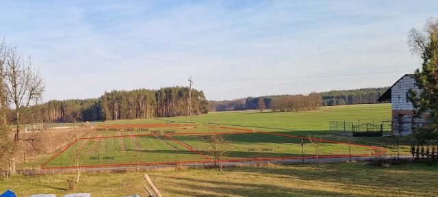 Działka rolno-budowlana Bojadła. Zdjęcie 1