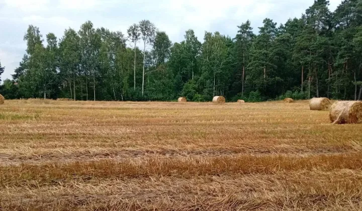 Działka budowlana Biała