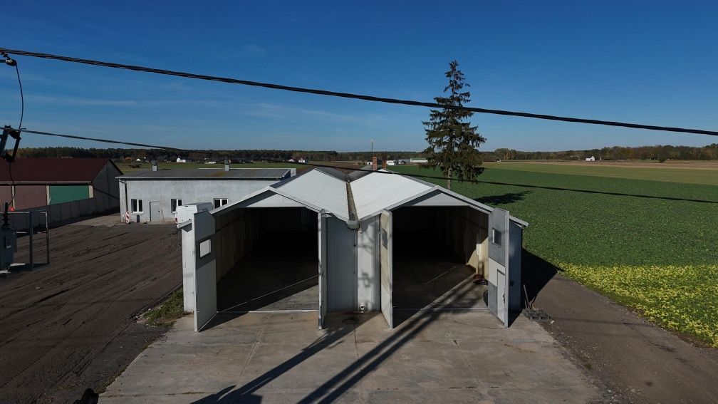 Hala/magazyn Wilczyn. Zdjęcie 2