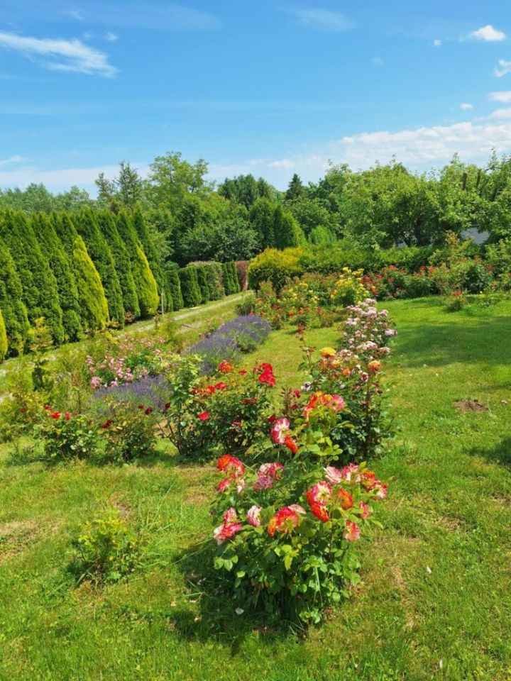 Działka rod Krosno. Zdjęcie 6