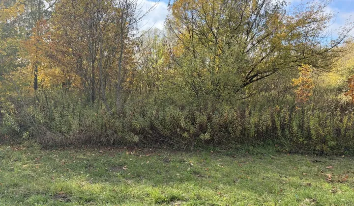 Działka inwestycyjna Radwanków Szlachecki