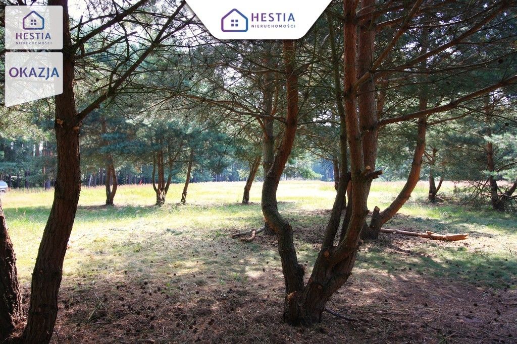 Działka rolna Szczecin Wielgowo, ul. Żywiczna. Zdjęcie 4