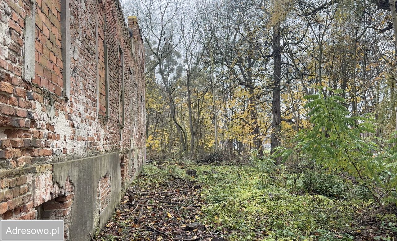 Działka inwestycyjna Ozorowice, ul. Młynarska. Zdjęcie 3