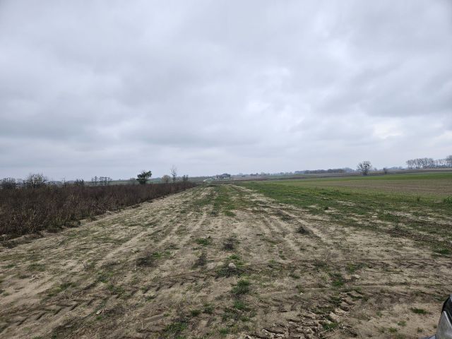 Działka budowlana Biernatki. Zdjęcie 1