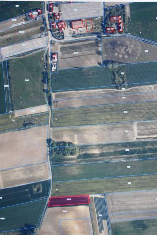 Działka rolna Bielice. Zdjęcie 4