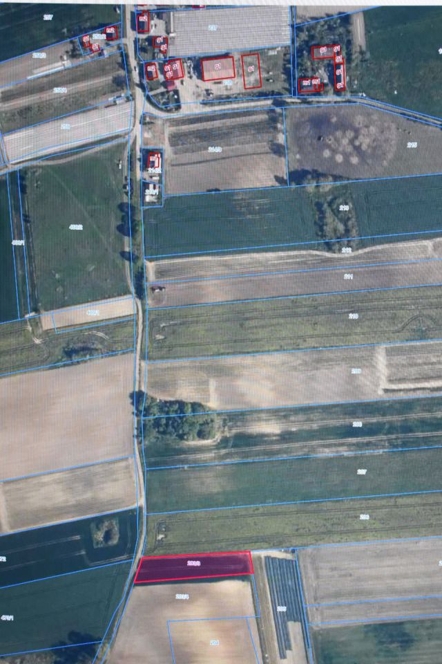 Działka rolna Bielice. Zdjęcie 4