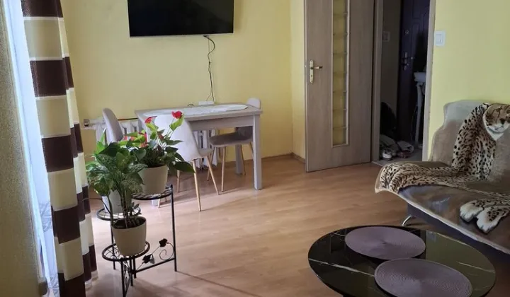 Mieszkanie 4-pokojowe Mysłowice, ul. Fryderyka Szopena